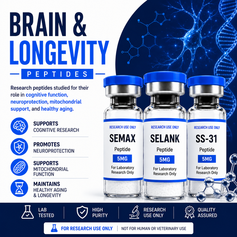 Brain & Longevity🧠